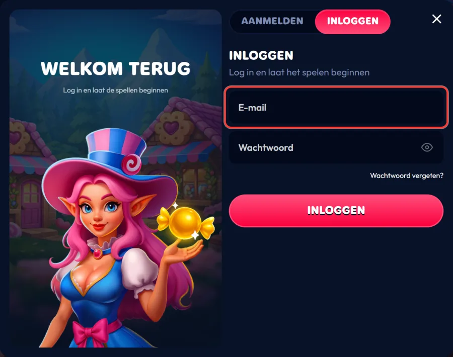 E-mailveld in het inlogformulier